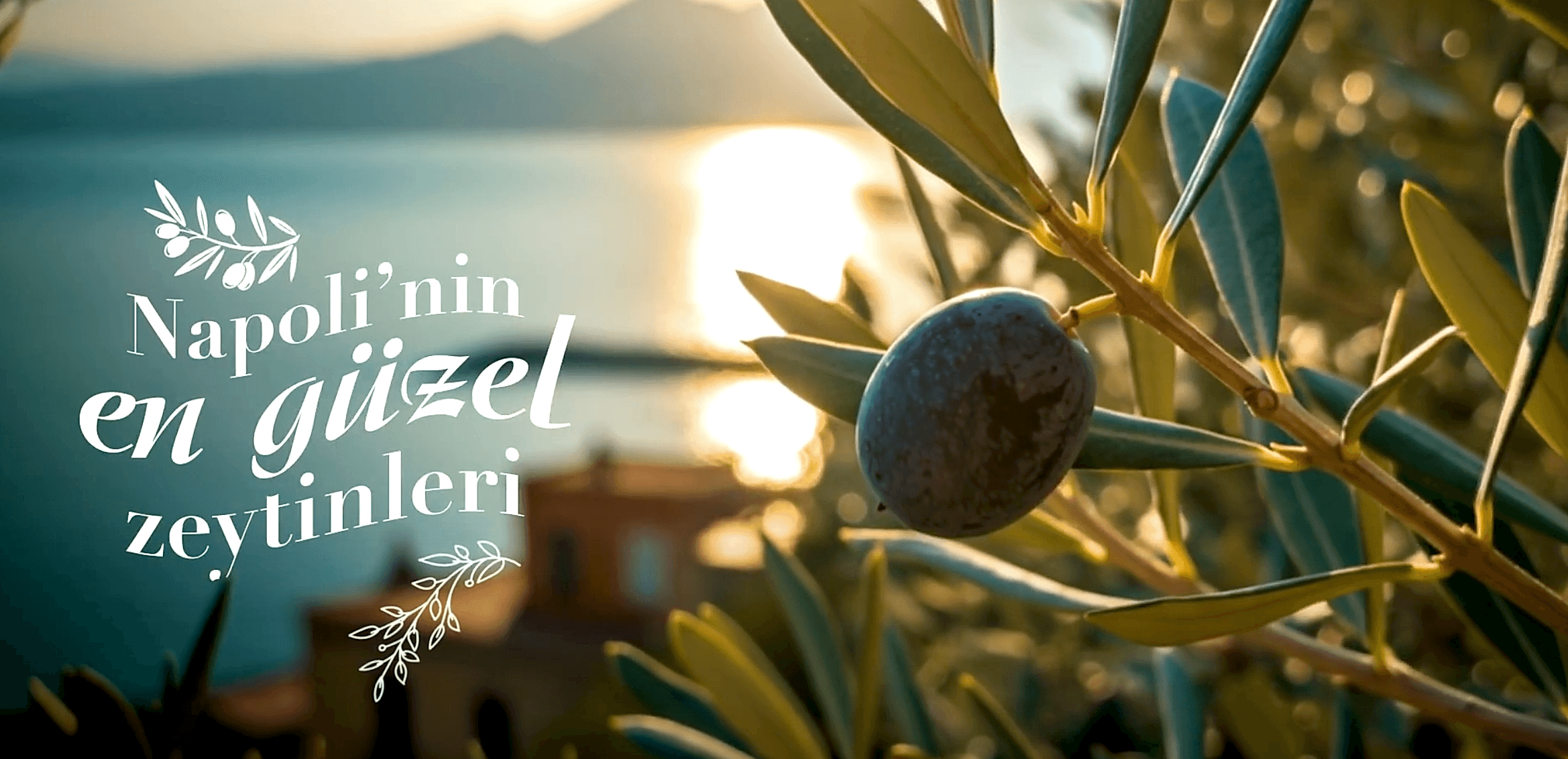 Prolon İtalya Serisi: Prolon İtalya Serisi: